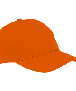 6 Panel Alloy Cap