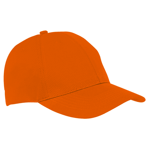 6 Panel Alloy Cap