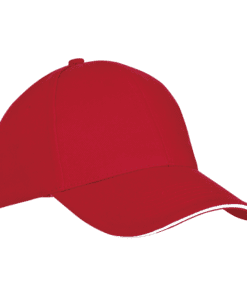 6 Panel Sandwich Peak Cap