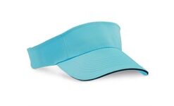 Sandwich Sunvisor