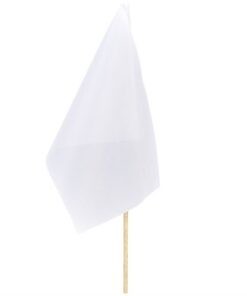 Champion Small Hand Flag 30cm x 20cm