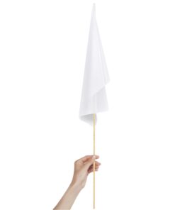 Champion Medium Hand Flag 45cm x 30cm