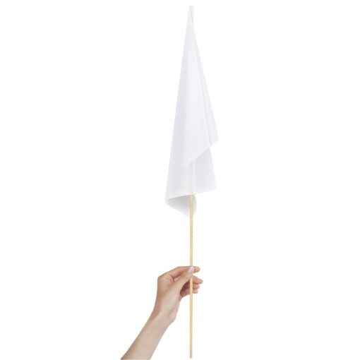 Champion Medium Hand Flag 45cm x 30cm