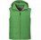 Mens Evolution Bodywarmer - Green