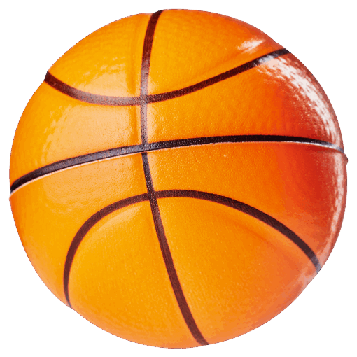 Basketball Ball Shaped Stress Ball | Orange | STD